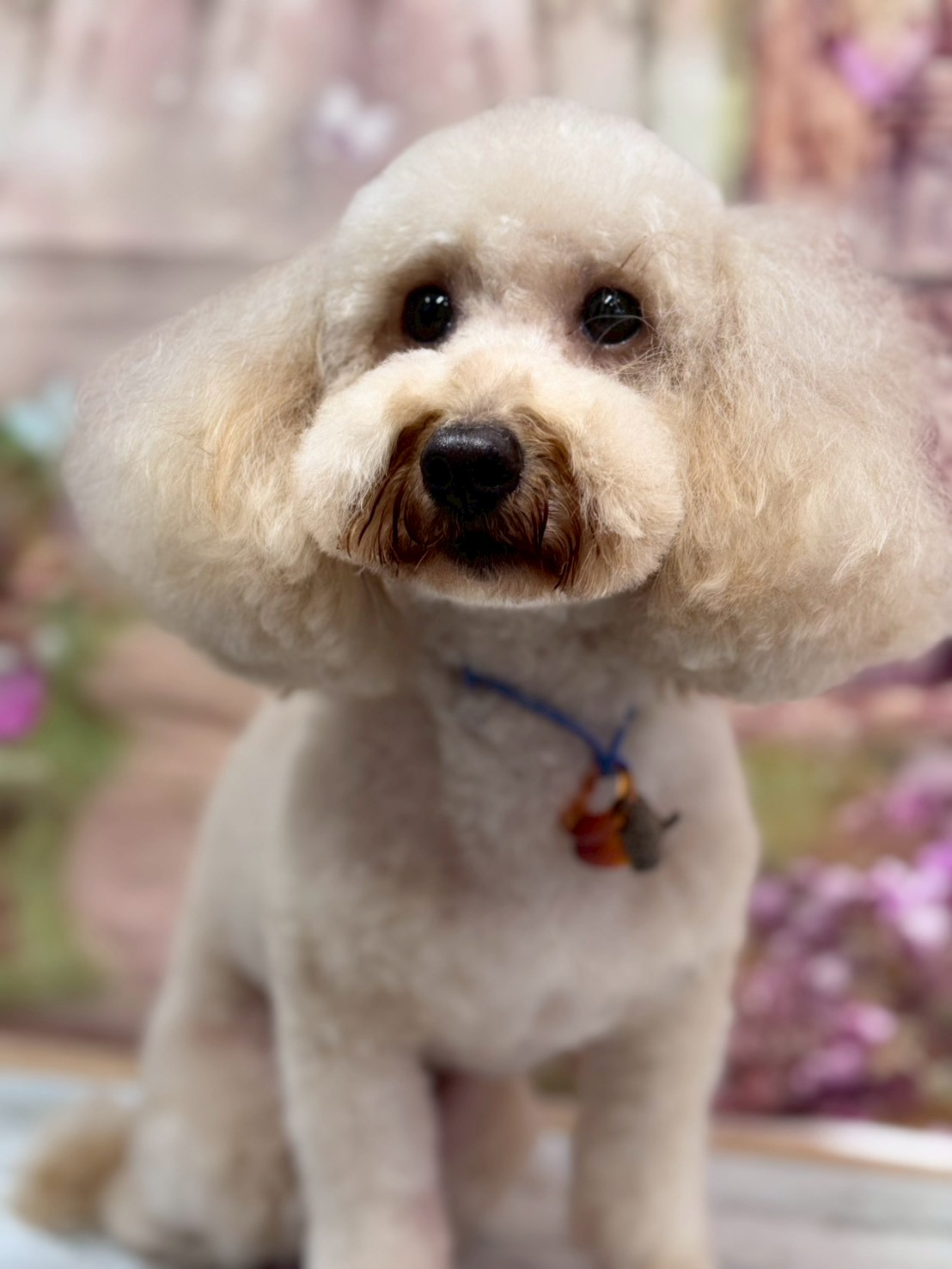 �I���[�W�� �挎�̂��q�l