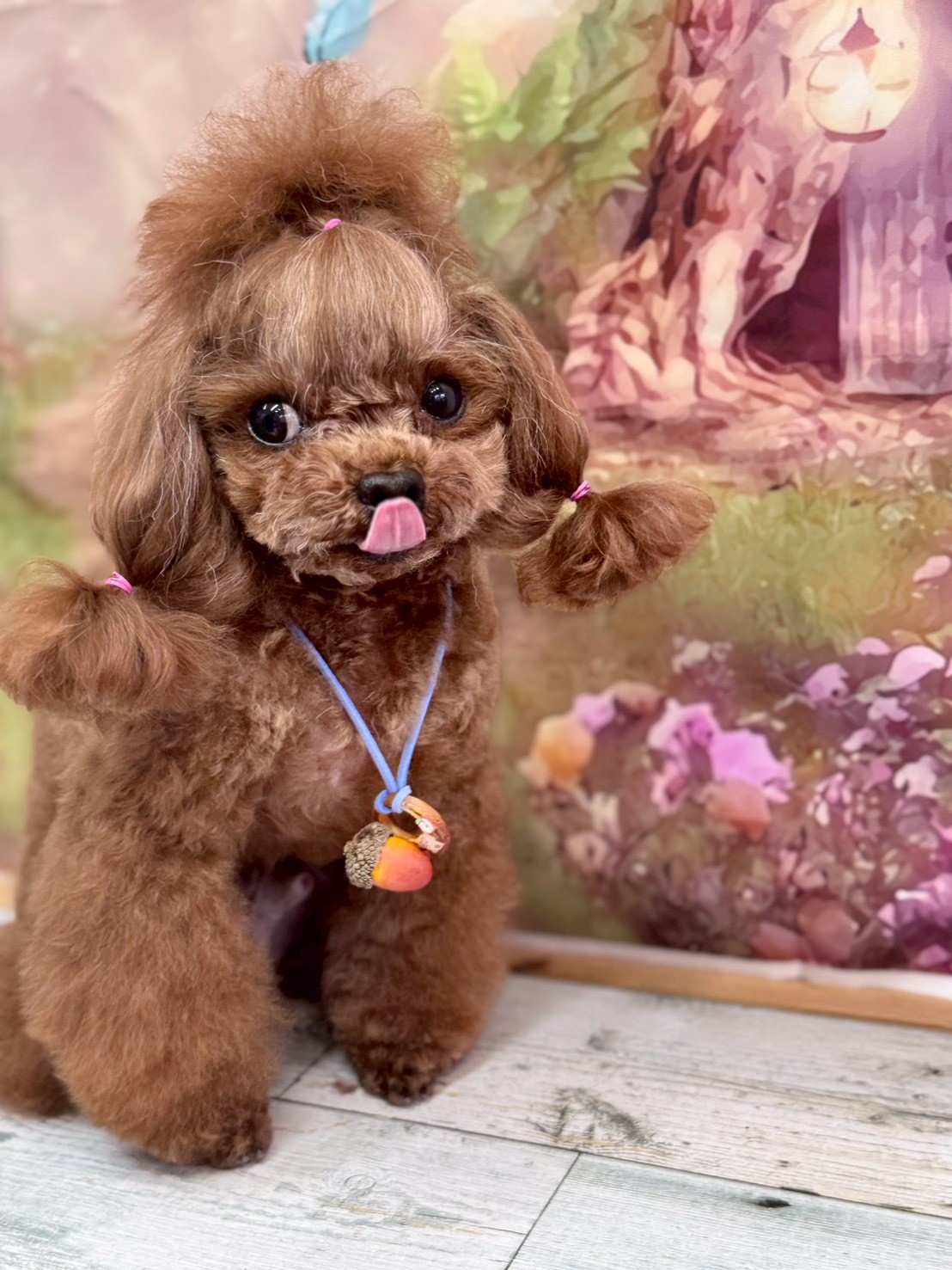 �I���[�W�� �挎�̂��q�l