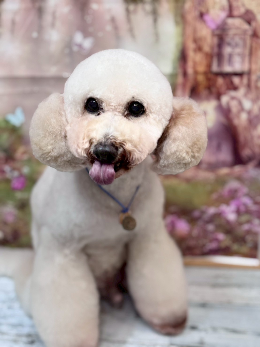 �I���[�W�� �挎�̂��q�l