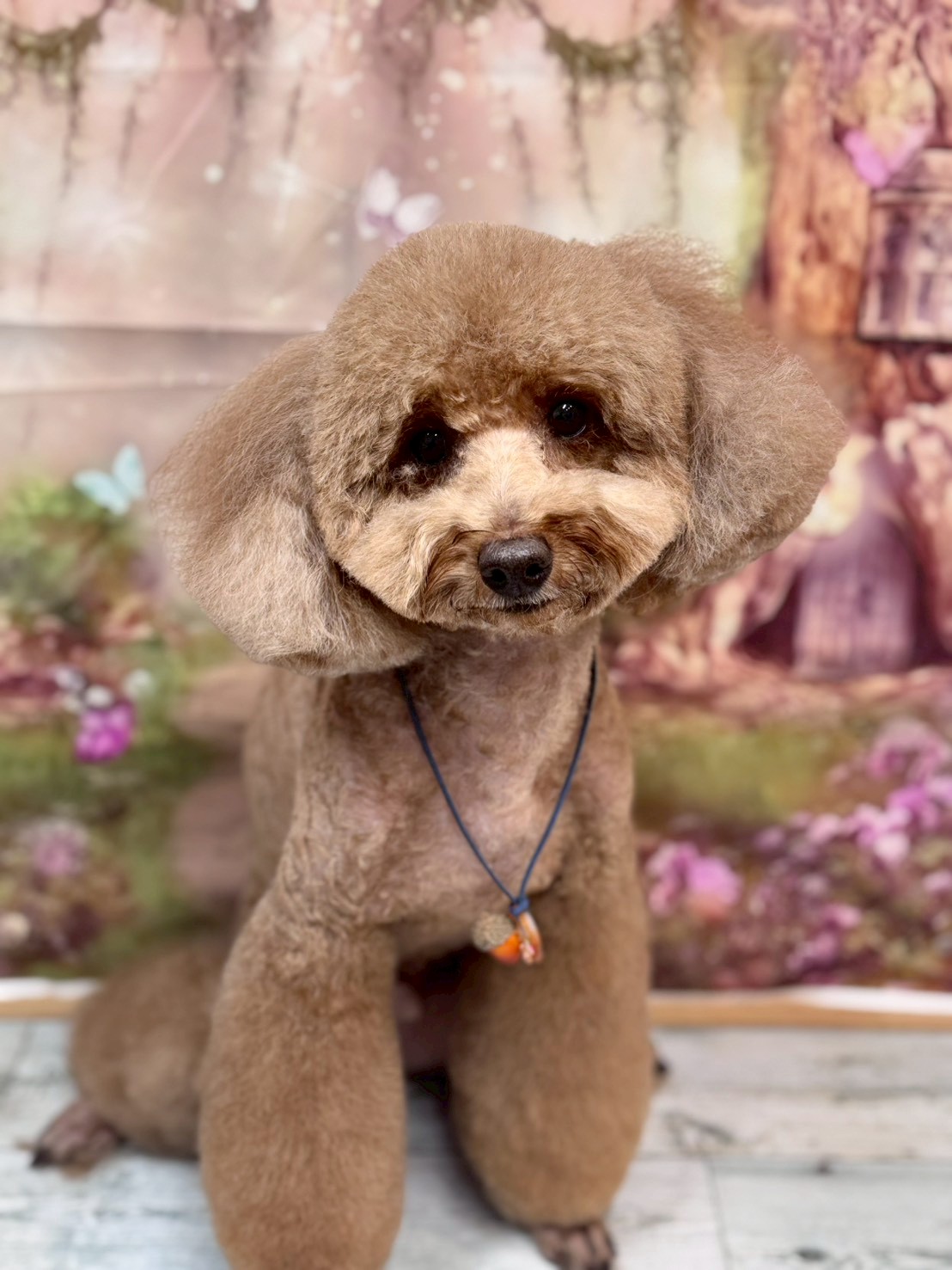 �I���[�W�� �挎�̂��q�l