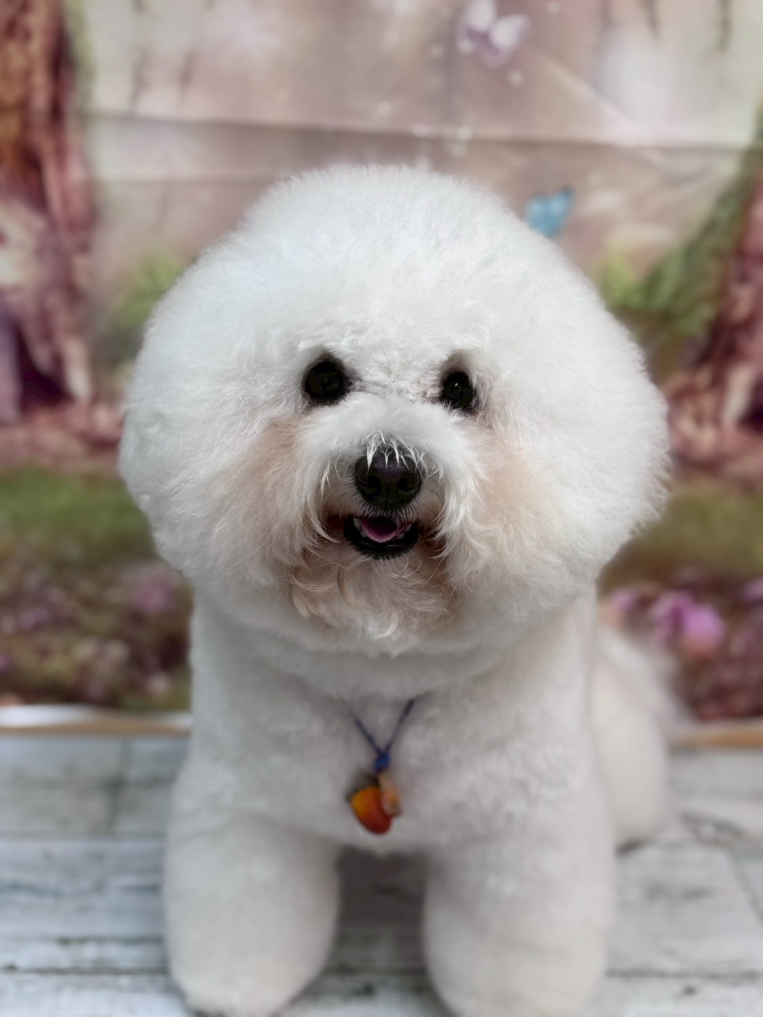 �I���[�W�� �挎�̂��q�l