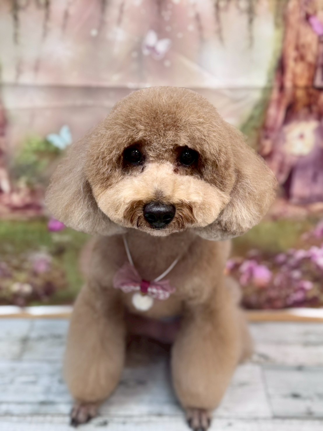 �I���[�W�� �挎�̂��q�l