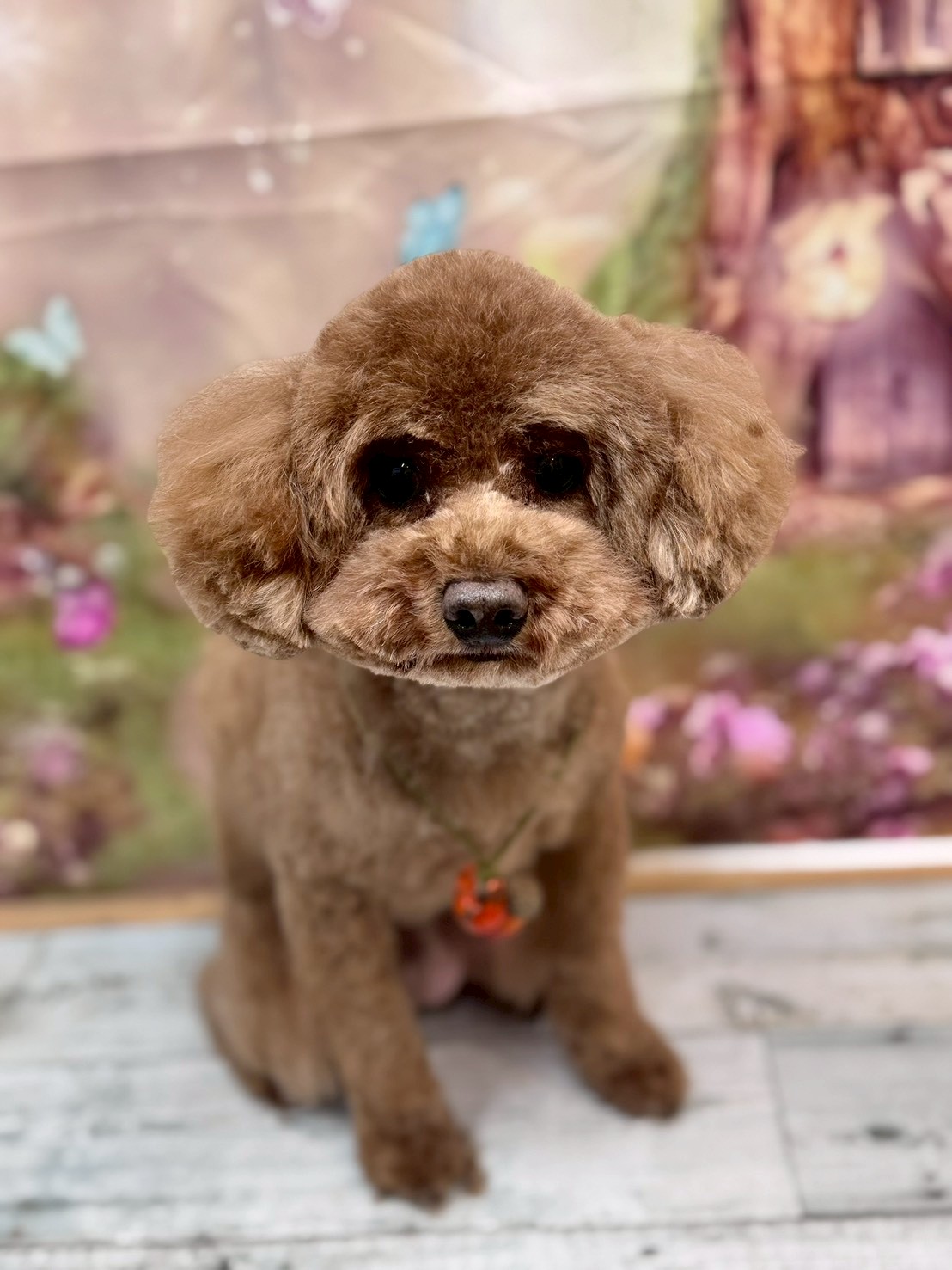 �I���[�W�� �挎�̂��q�l