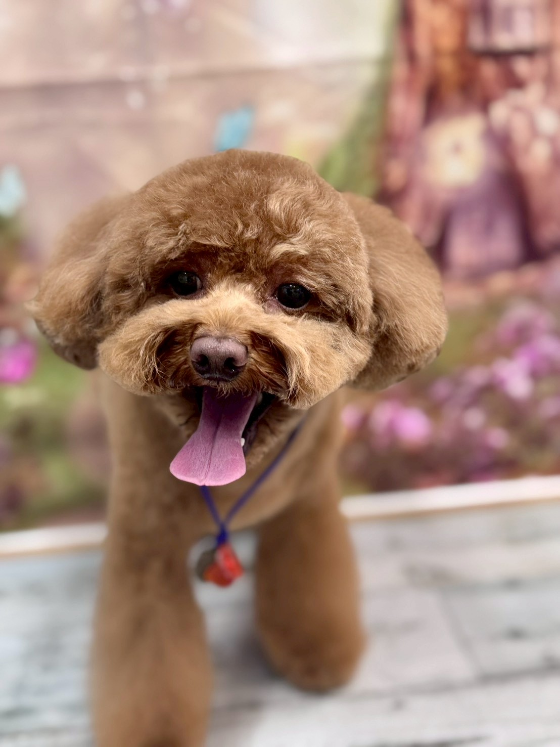 �I���[�W�� �挎�̂��q�l