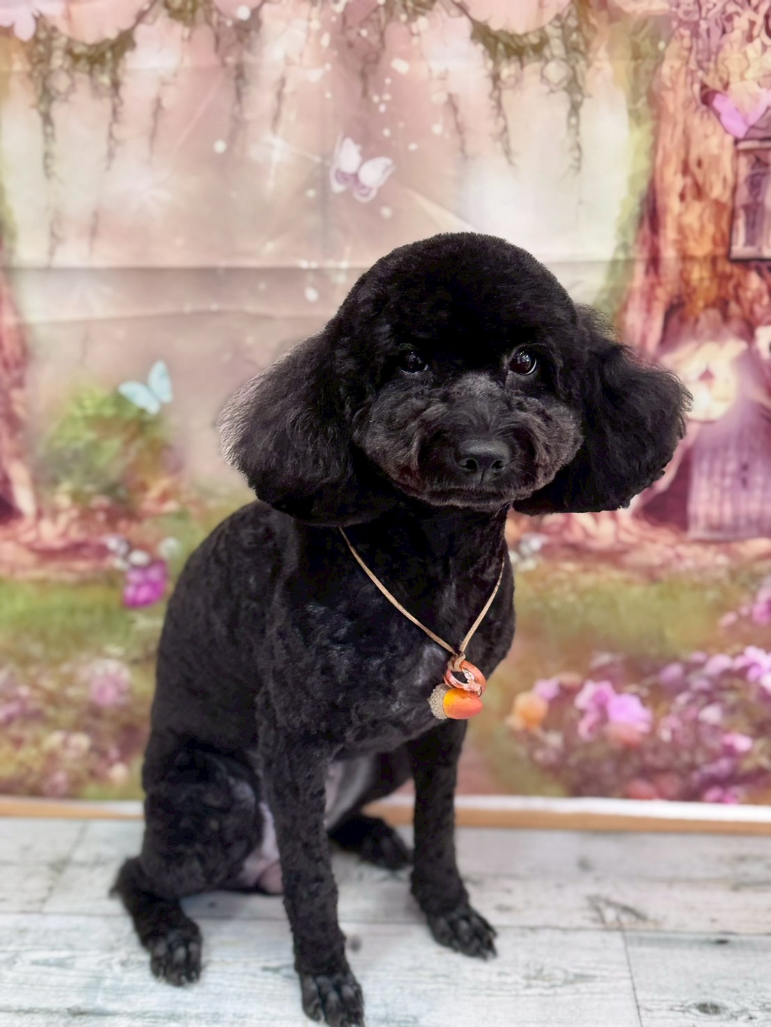 �I���[�W�� �挎�̂��q�l