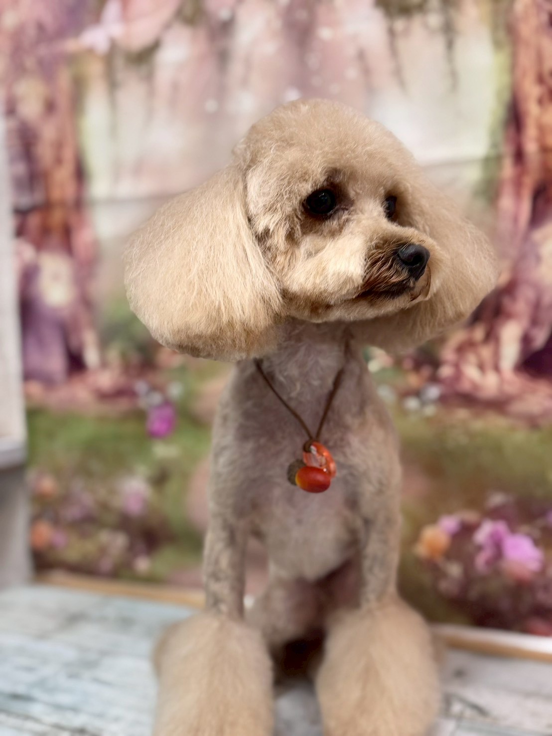 �I���[�W�� �挎�̂��q�l