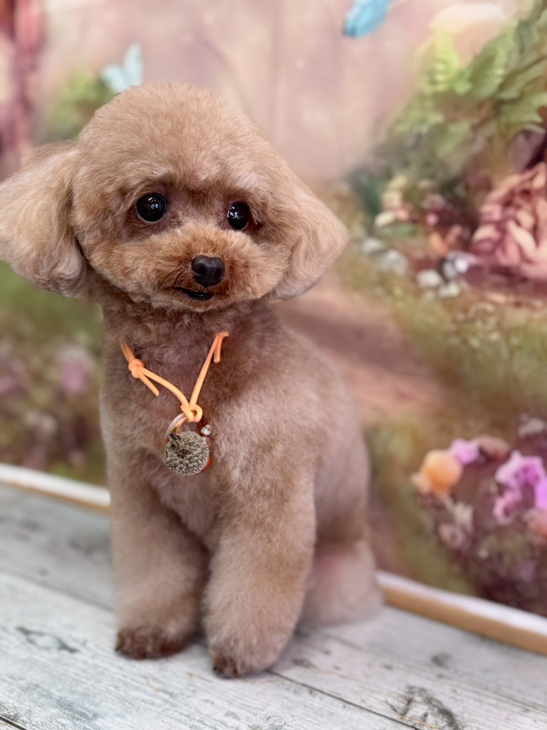 �I���[�W�� �挎�̂��q�l