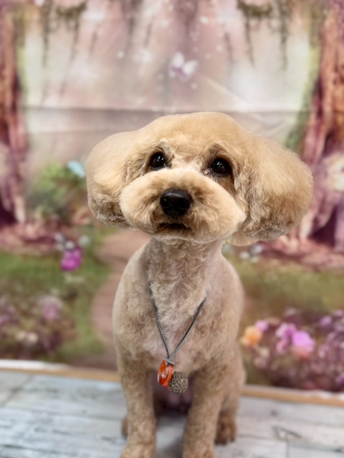 �I���[�W�� �挎�̂��q�l