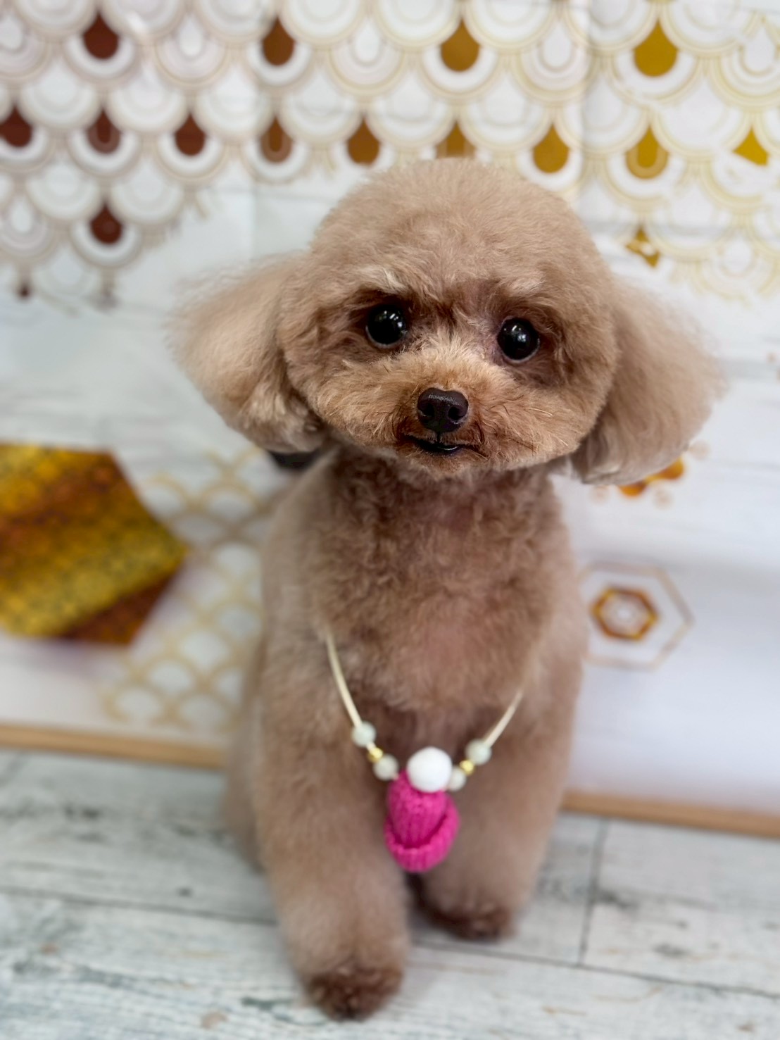 �I���[�W�� �挎�̂��q�l