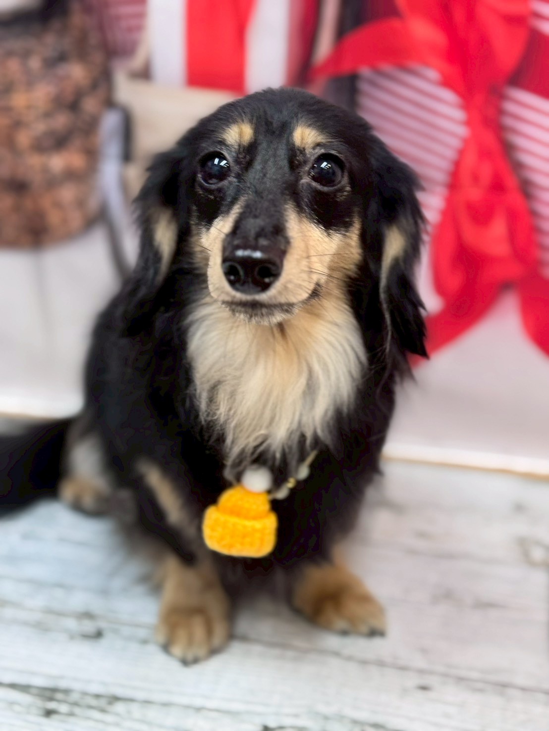 �I���[�W�� �挎�̂��q�l