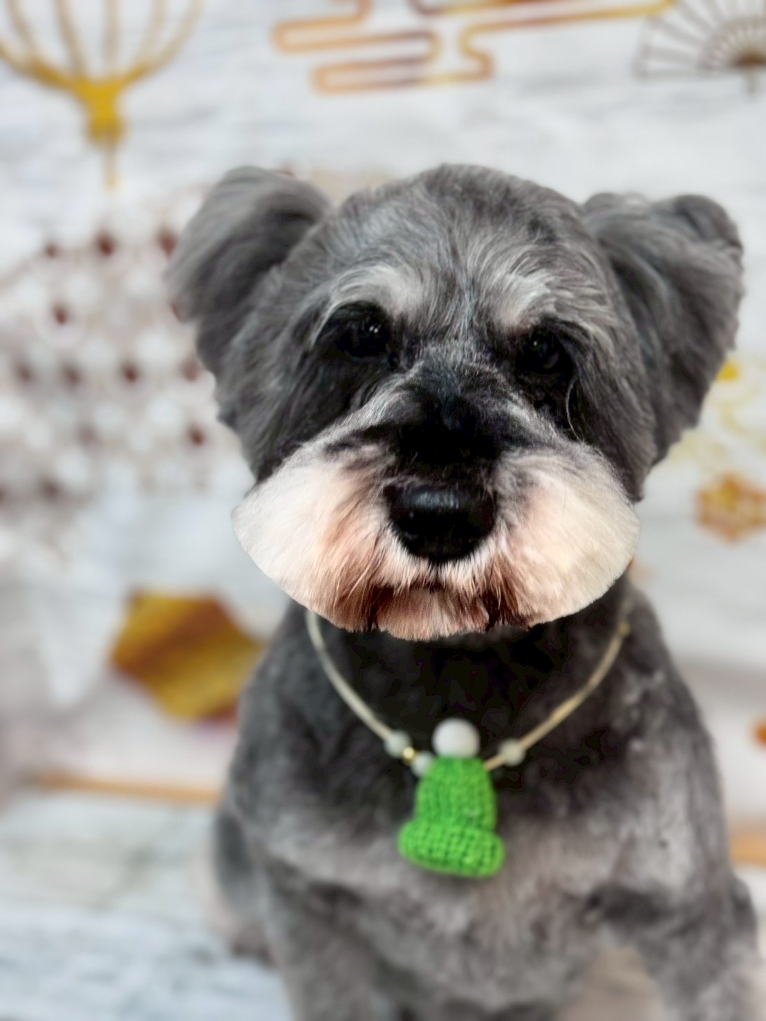 �I���[�W�� �挎�̂��q�l