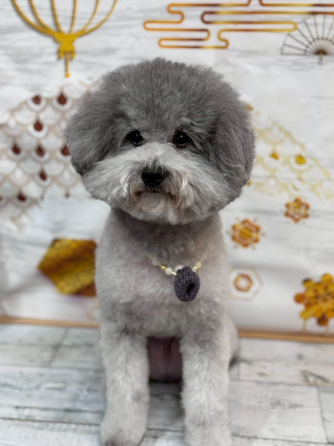 �I���[�W�� �挎�̂��q�l