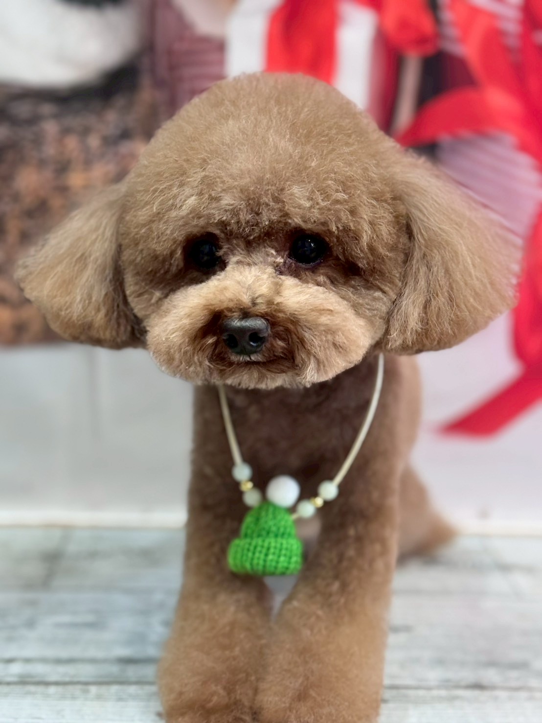 �I���[�W�� �挎�̂��q�l