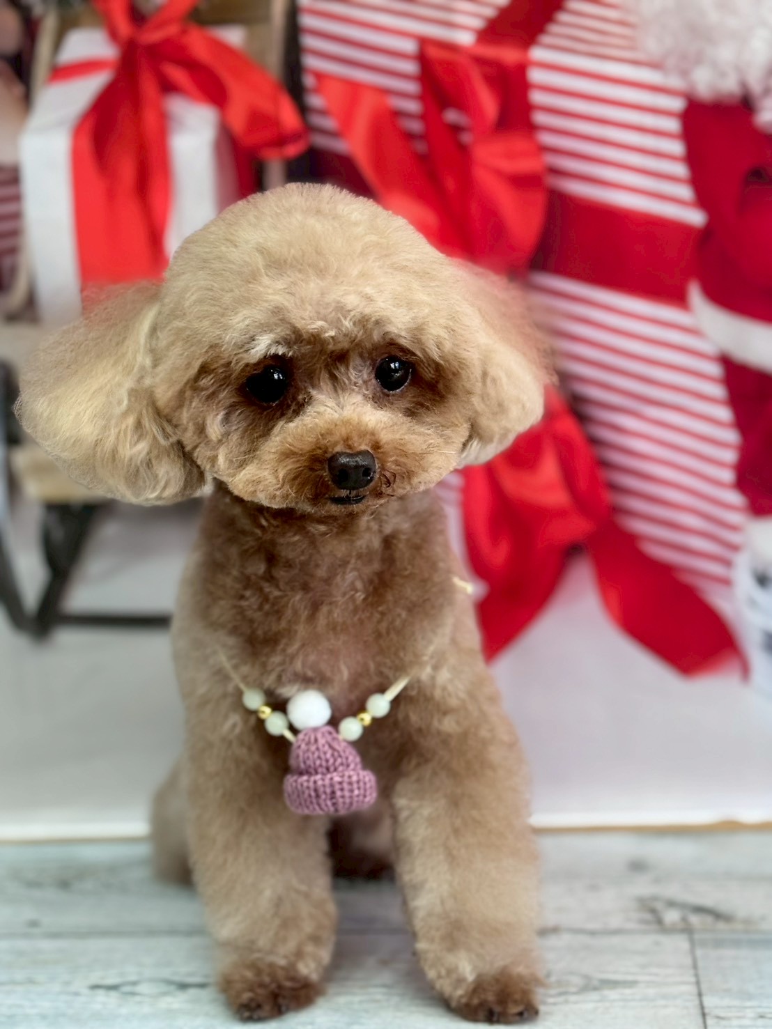 �I���[�W�� �挎�̂��q�l