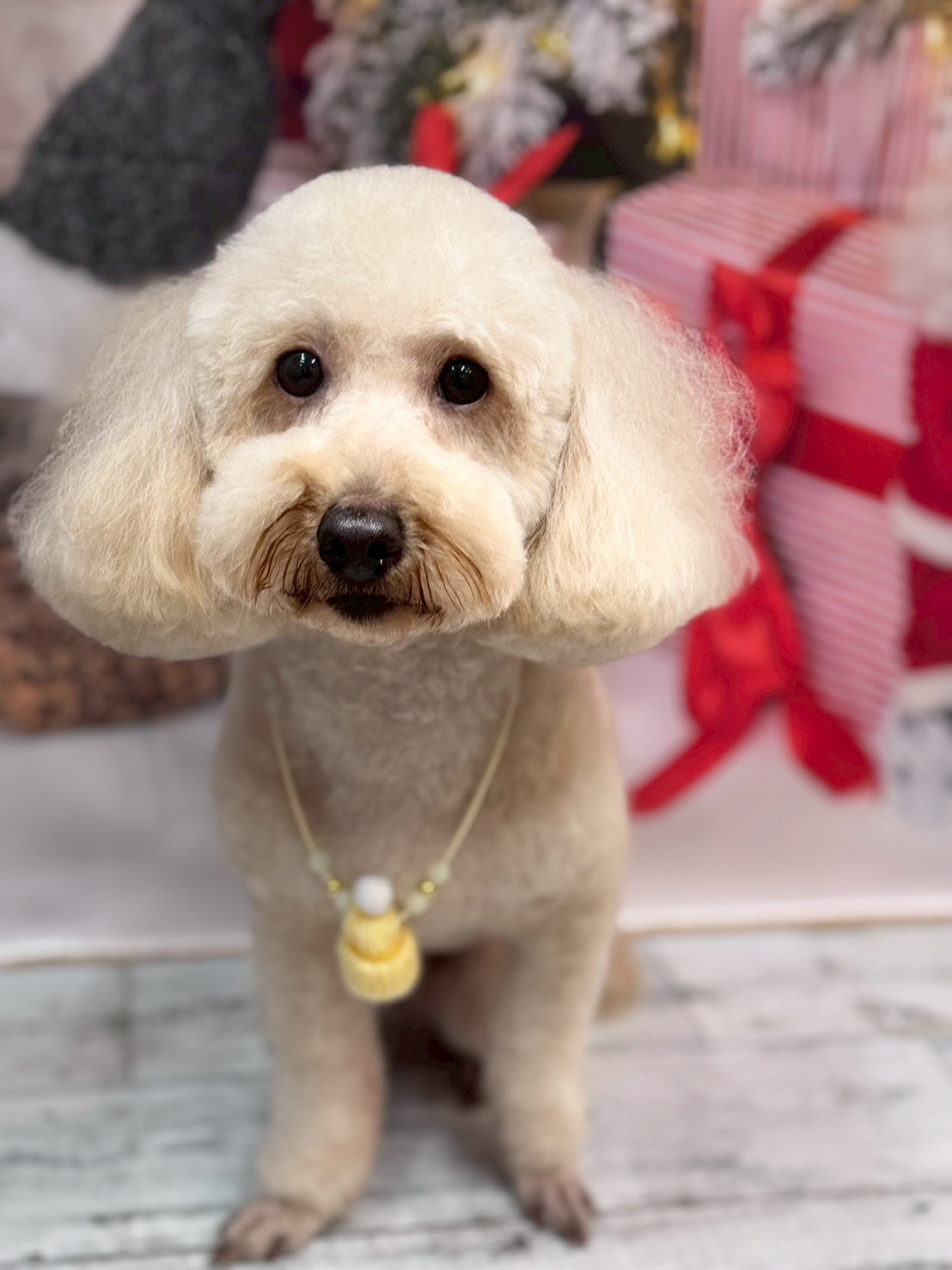 �I���[�W�� �挎�̂��q�l