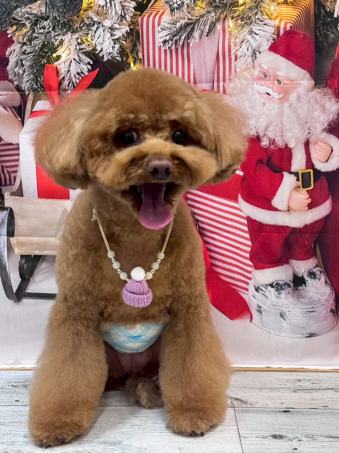 �I���[�W�� �挎�̂��q�l