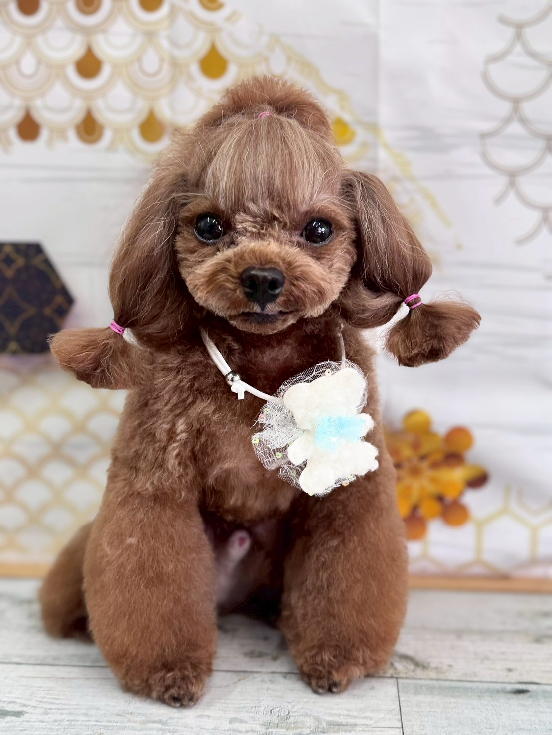 �I���[�W�� �挎�̂��q�l