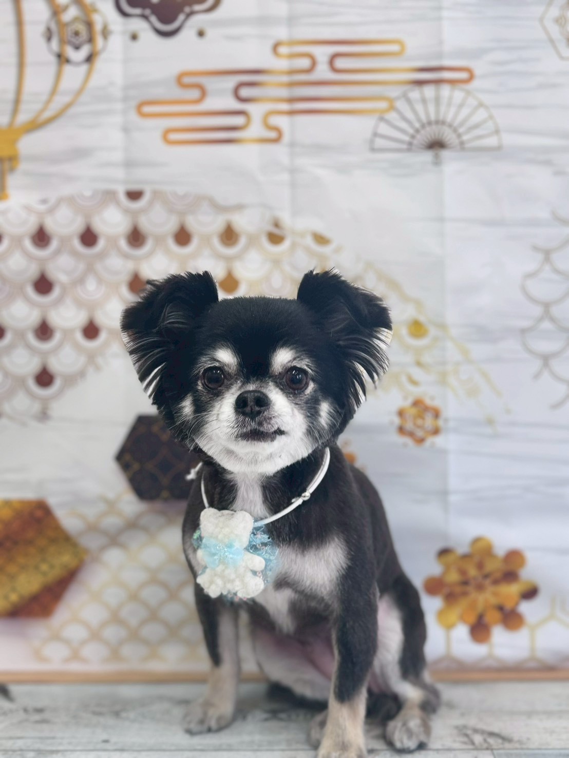 �I���[�W�� �挎�̂��q�l