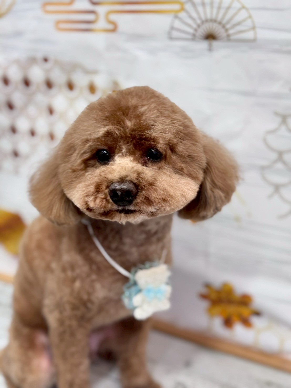 �I���[�W�� �挎�̂��q�l