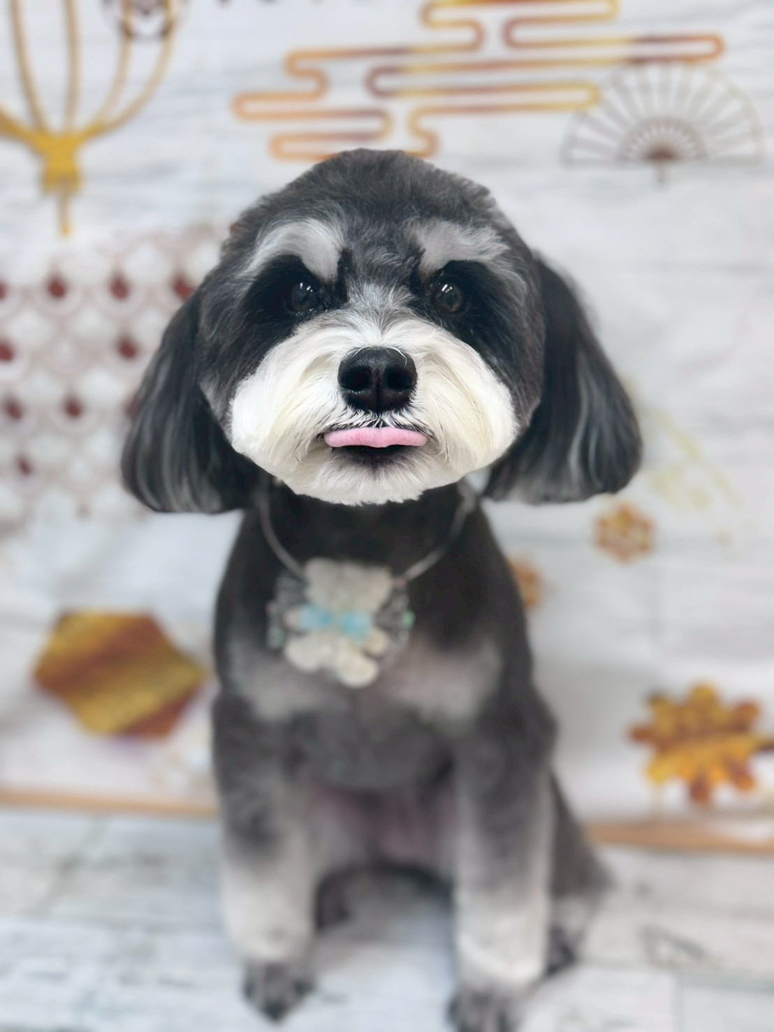 �I���[�W�� �挎�̂��q�l