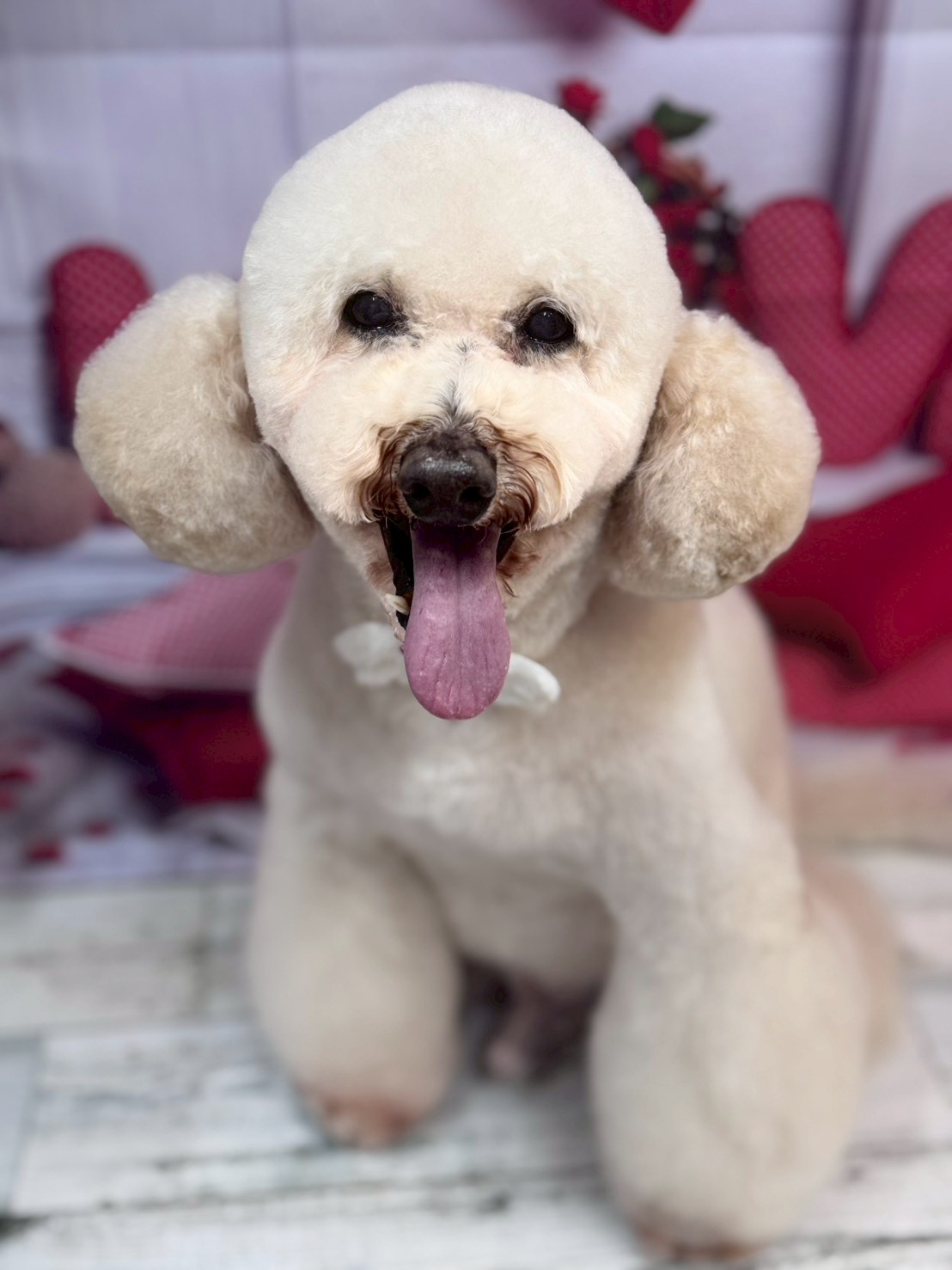 �O���[�~���O�T���� �I���[�W��