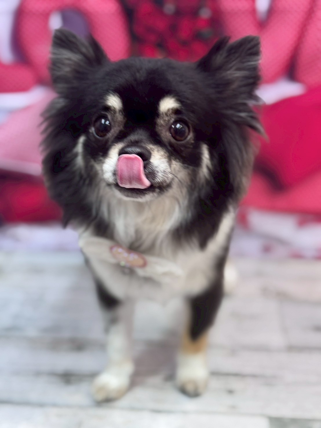 �O���[�~���O�T���� �I���[�W��