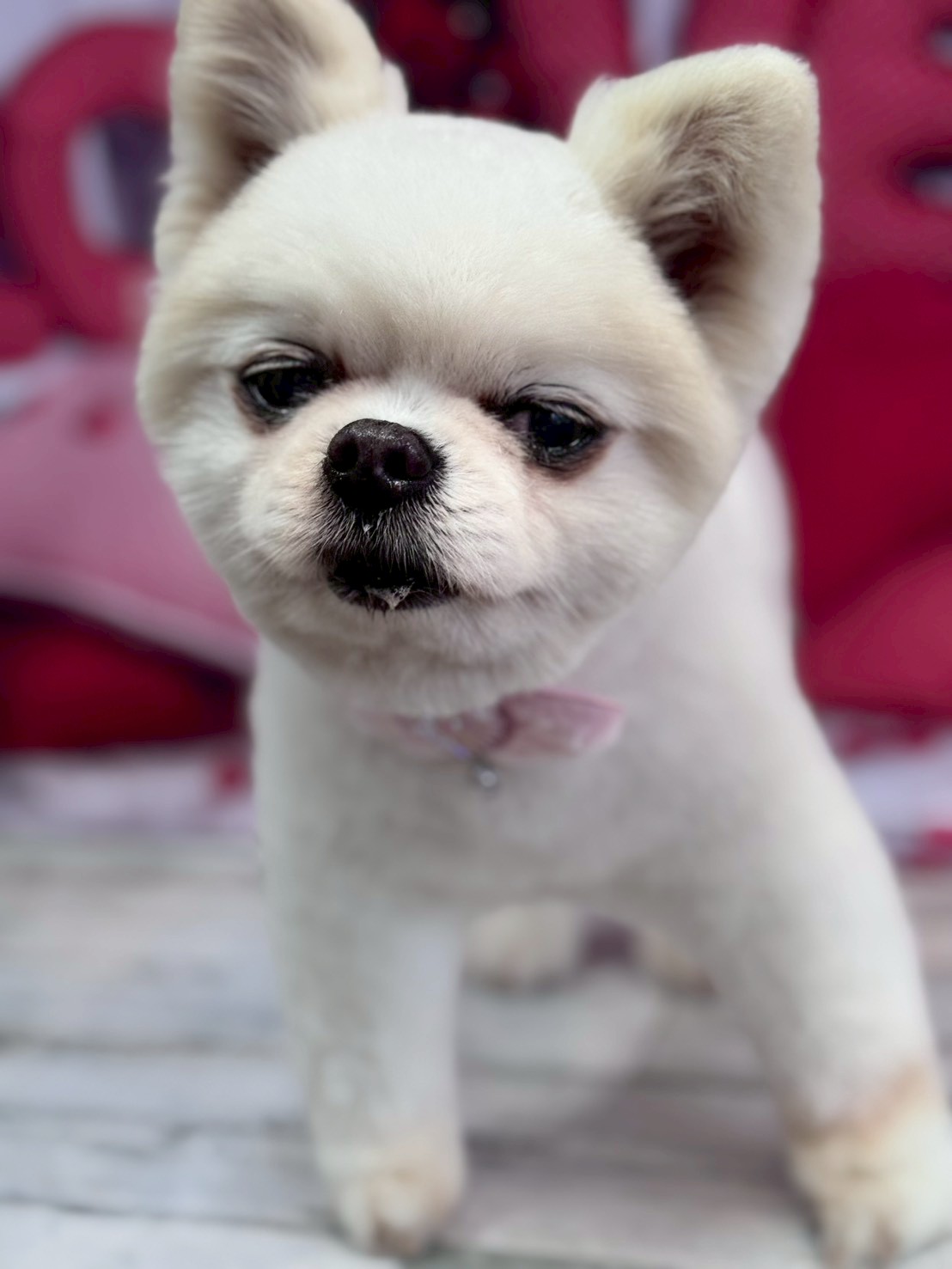 �O���[�~���O�T���� �I���[�W��