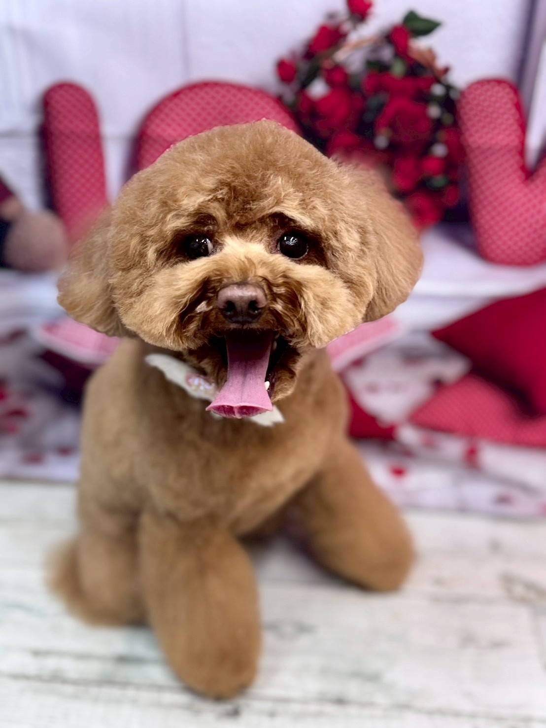 �O���[�~���O�T���� �I���[�W��