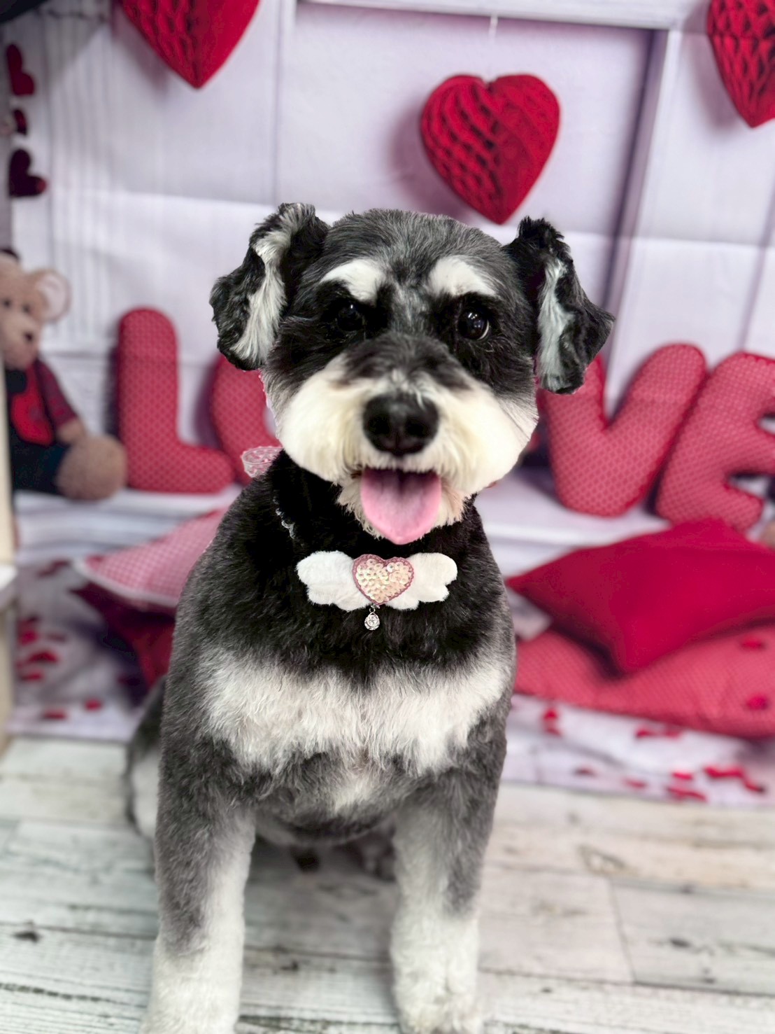 �O���[�~���O�T���� �I���[�W��