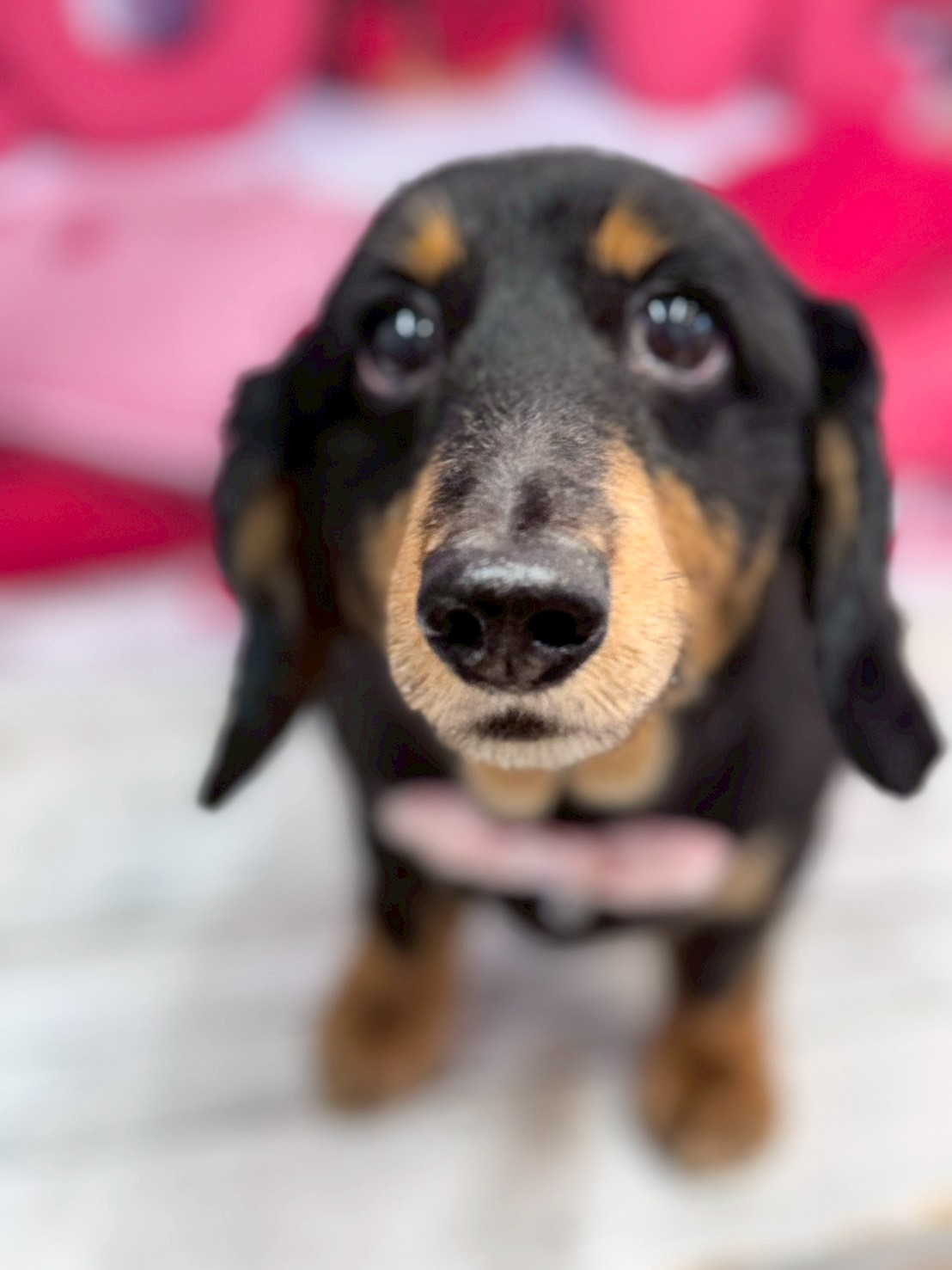 �O���[�~���O�T���� �I���[�W��