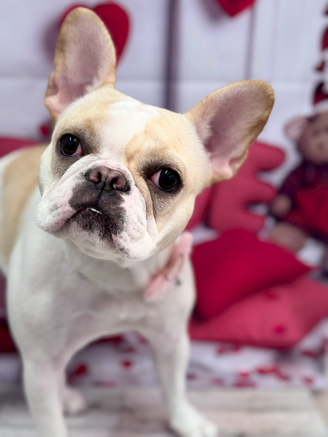 �O���[�~���O�T���� �I���[�W��