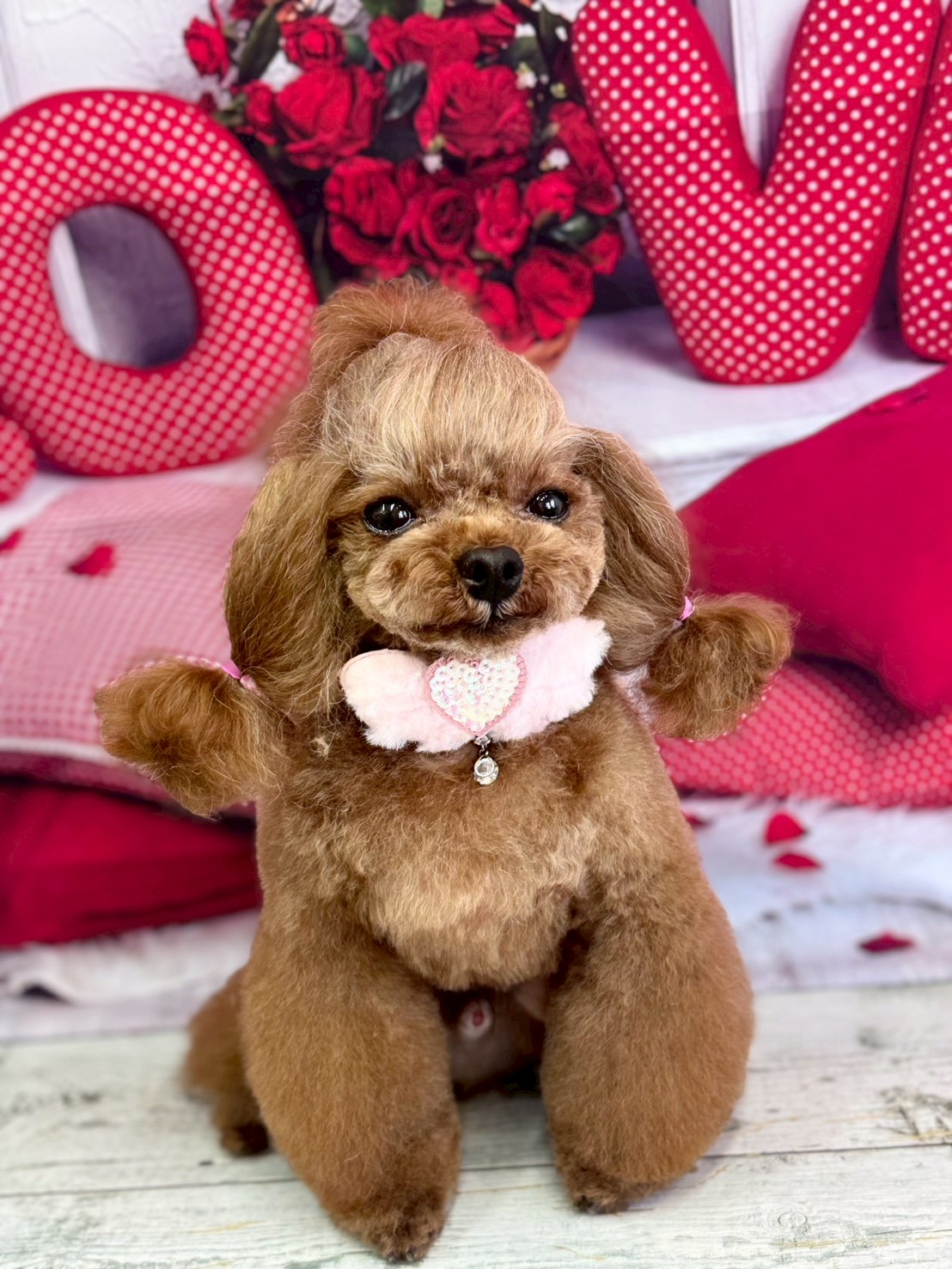 �O���[�~���O�T���� �I���[�W��