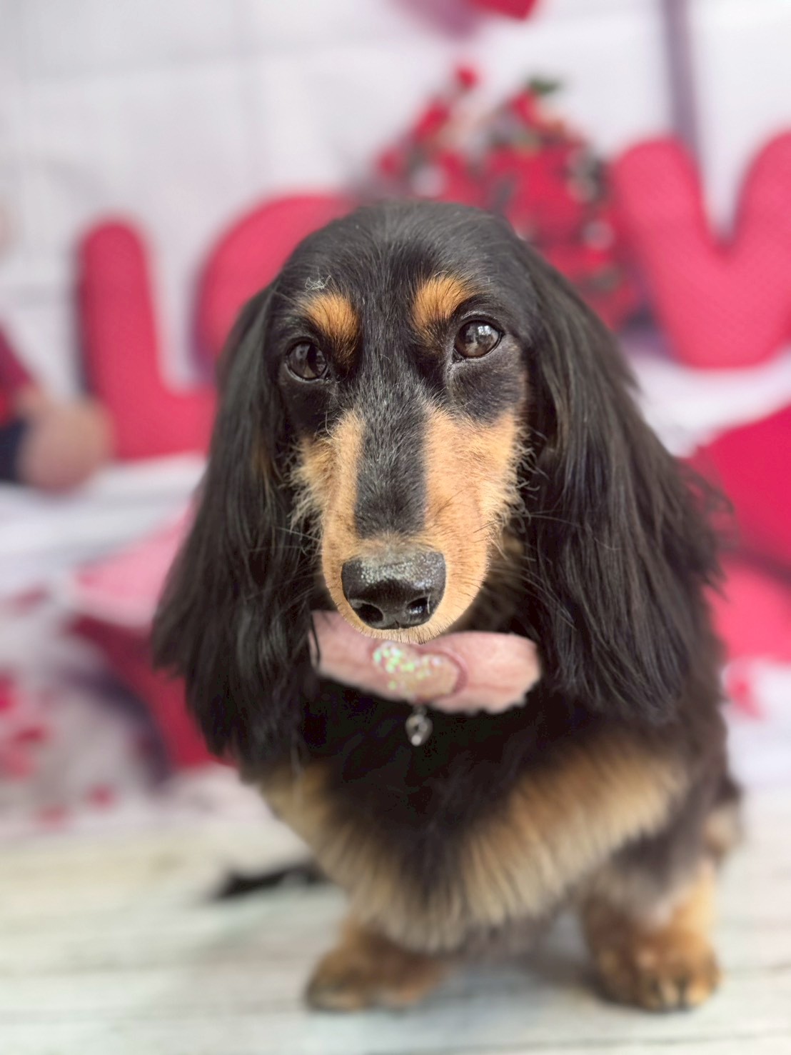 �O���[�~���O�T���� �I���[�W��