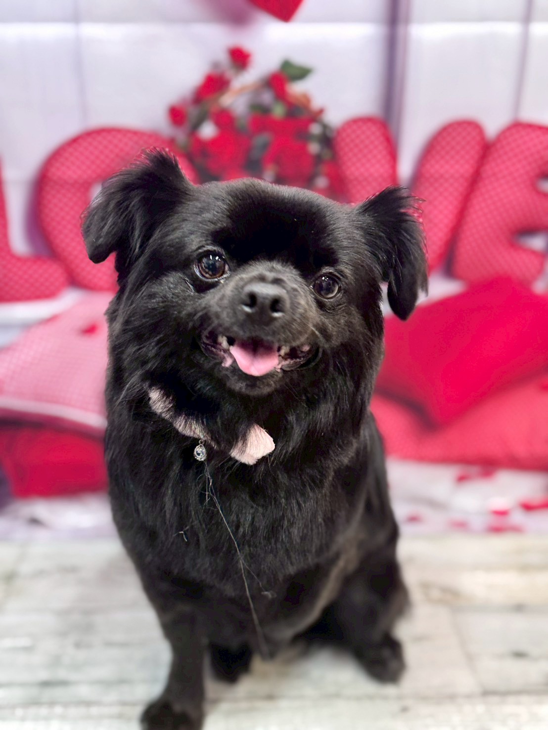 �O���[�~���O�T���� �I���[�W��