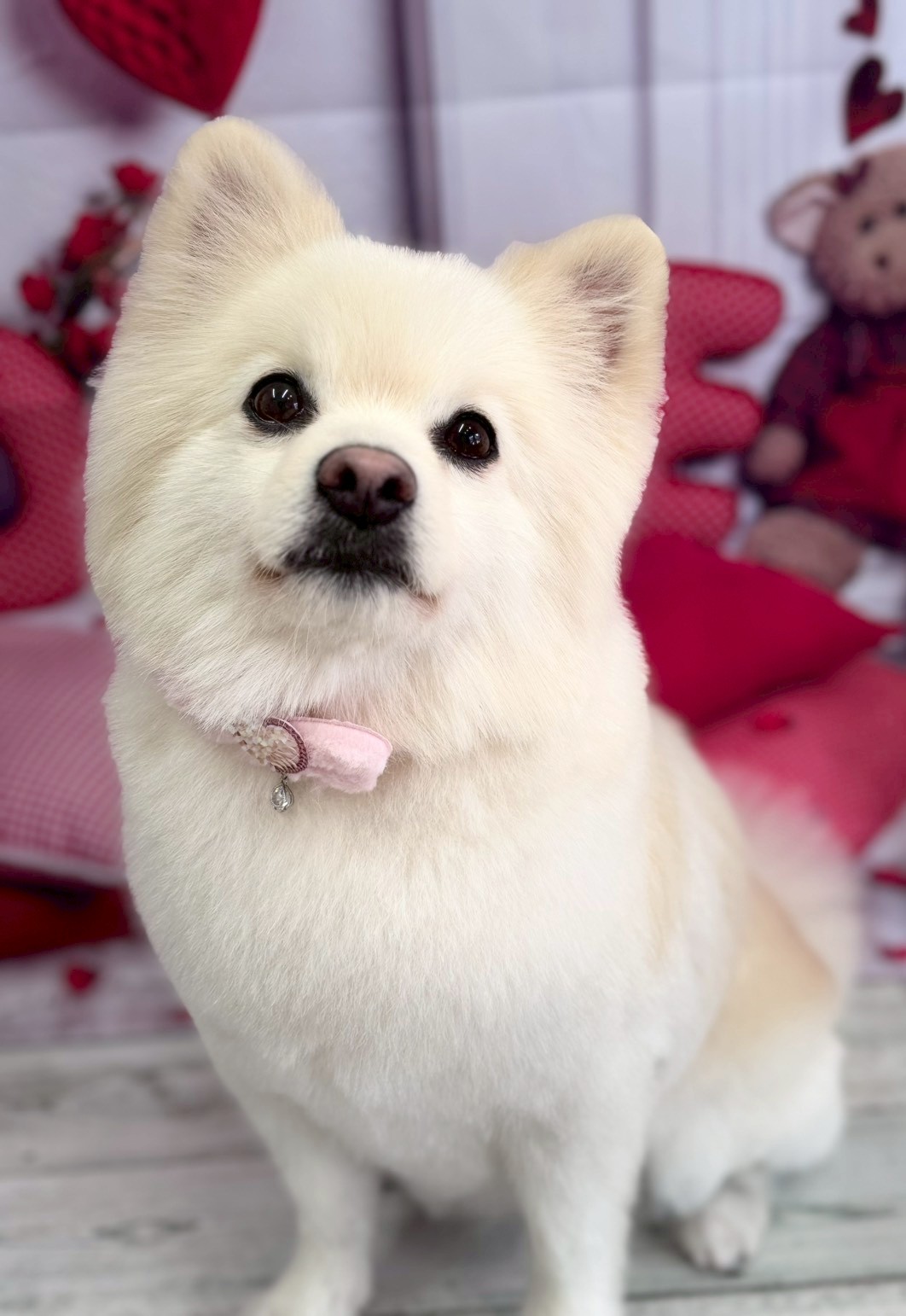 �O���[�~���O�T���� �I���[�W��