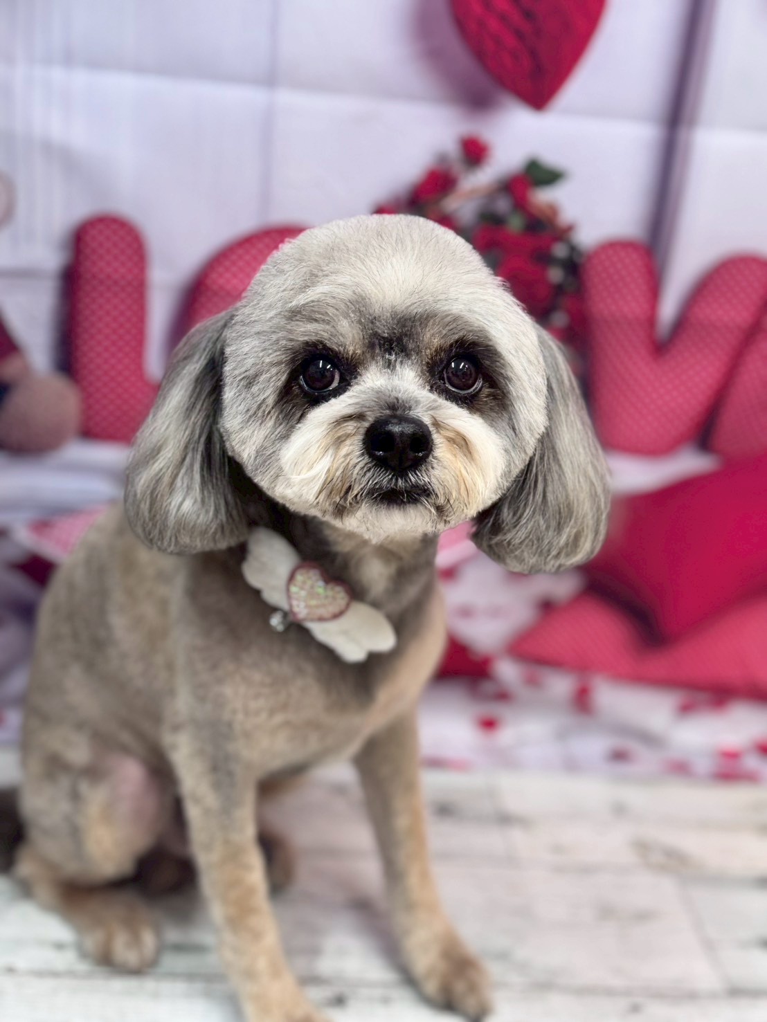 �O���[�~���O�T���� �I���[�W��