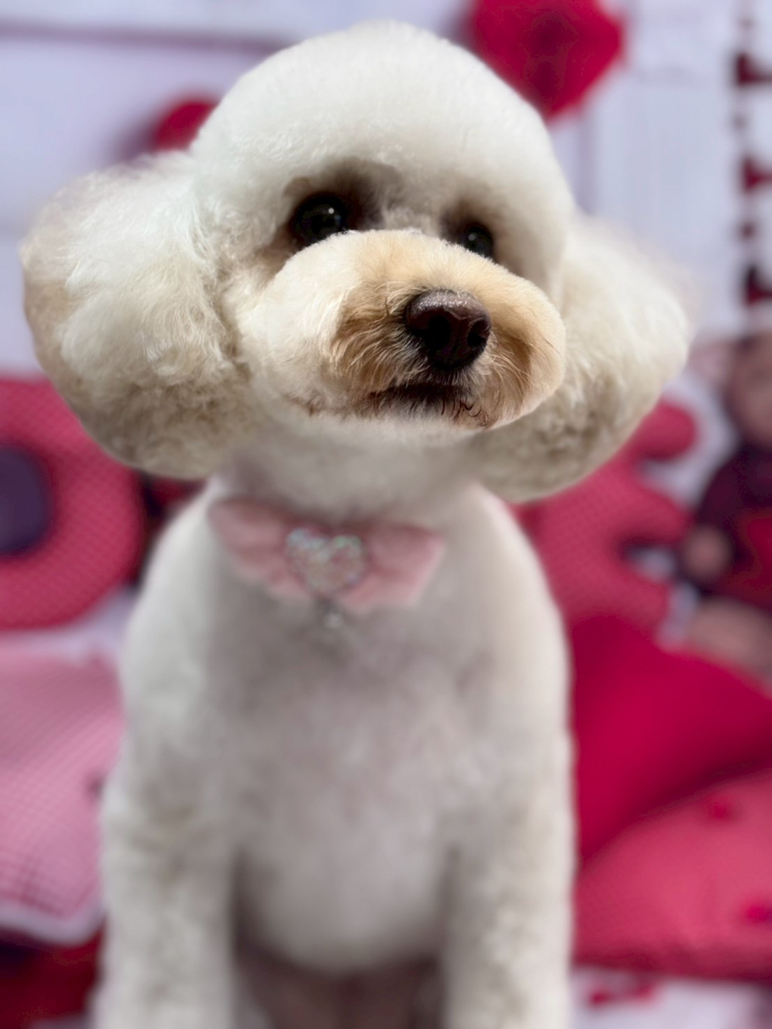 �O���[�~���O�T���� �I���[�W��