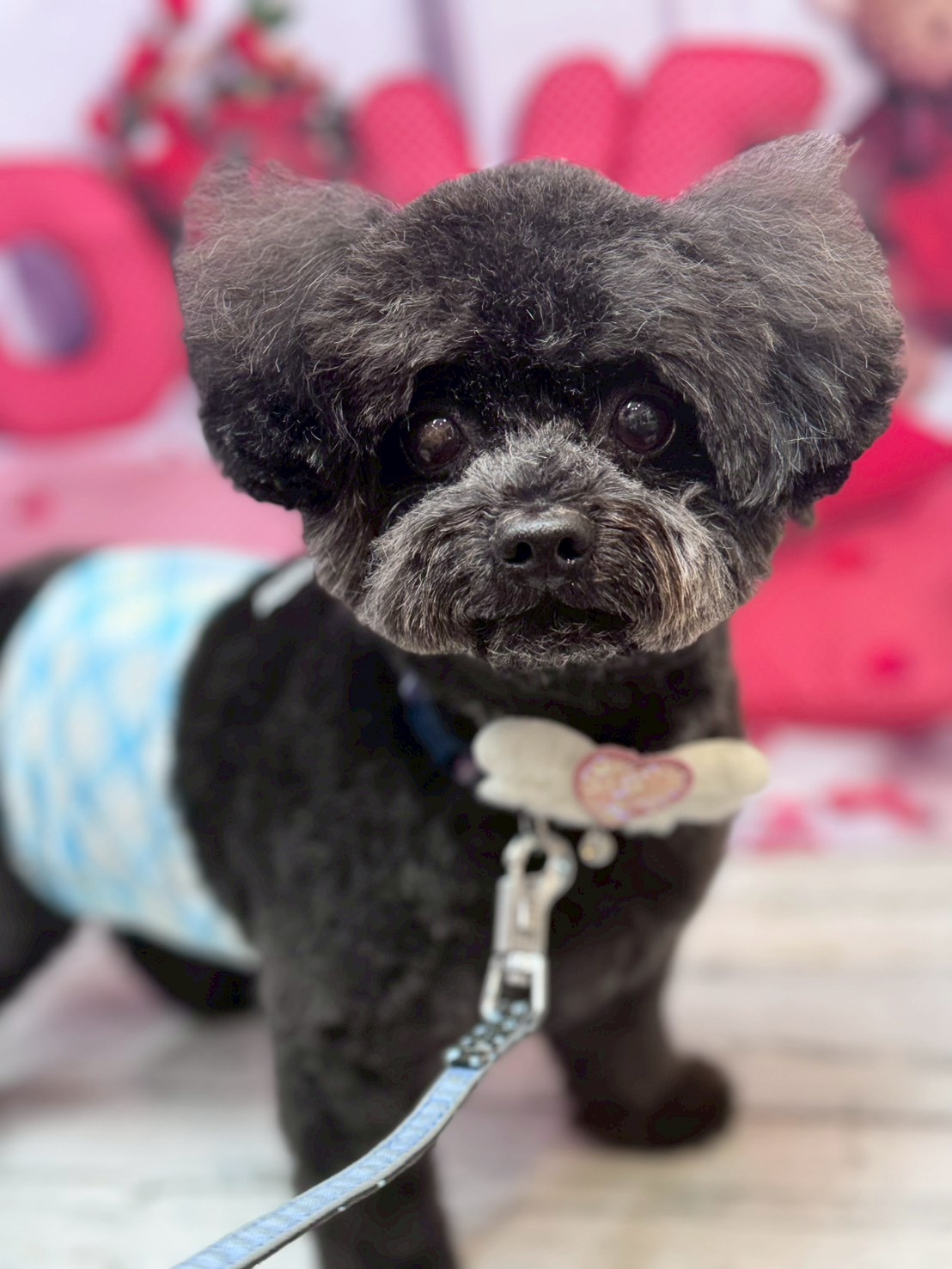 �O���[�~���O�T���� �I���[�W��