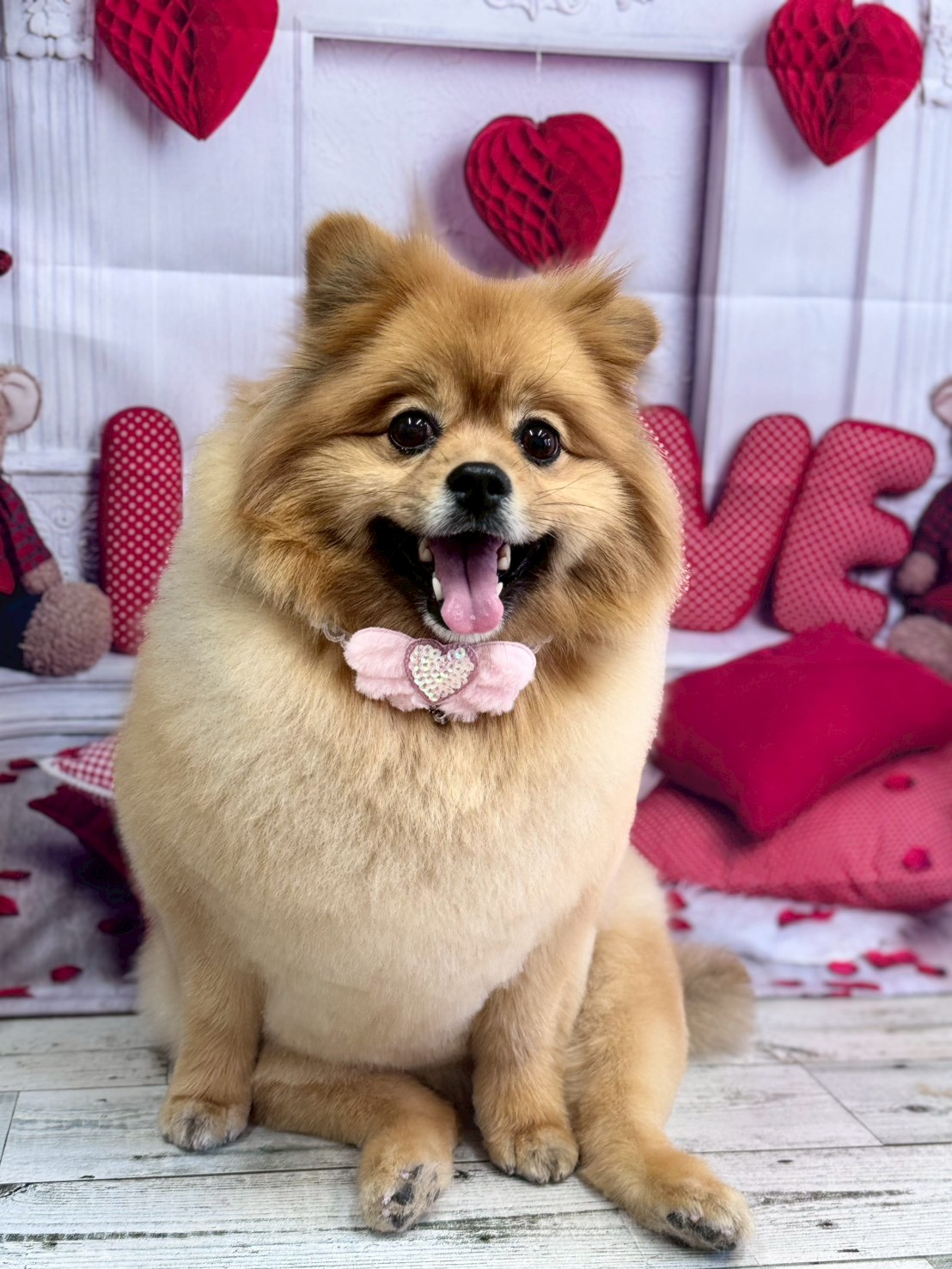 �O���[�~���O�T���� �I���[�W��