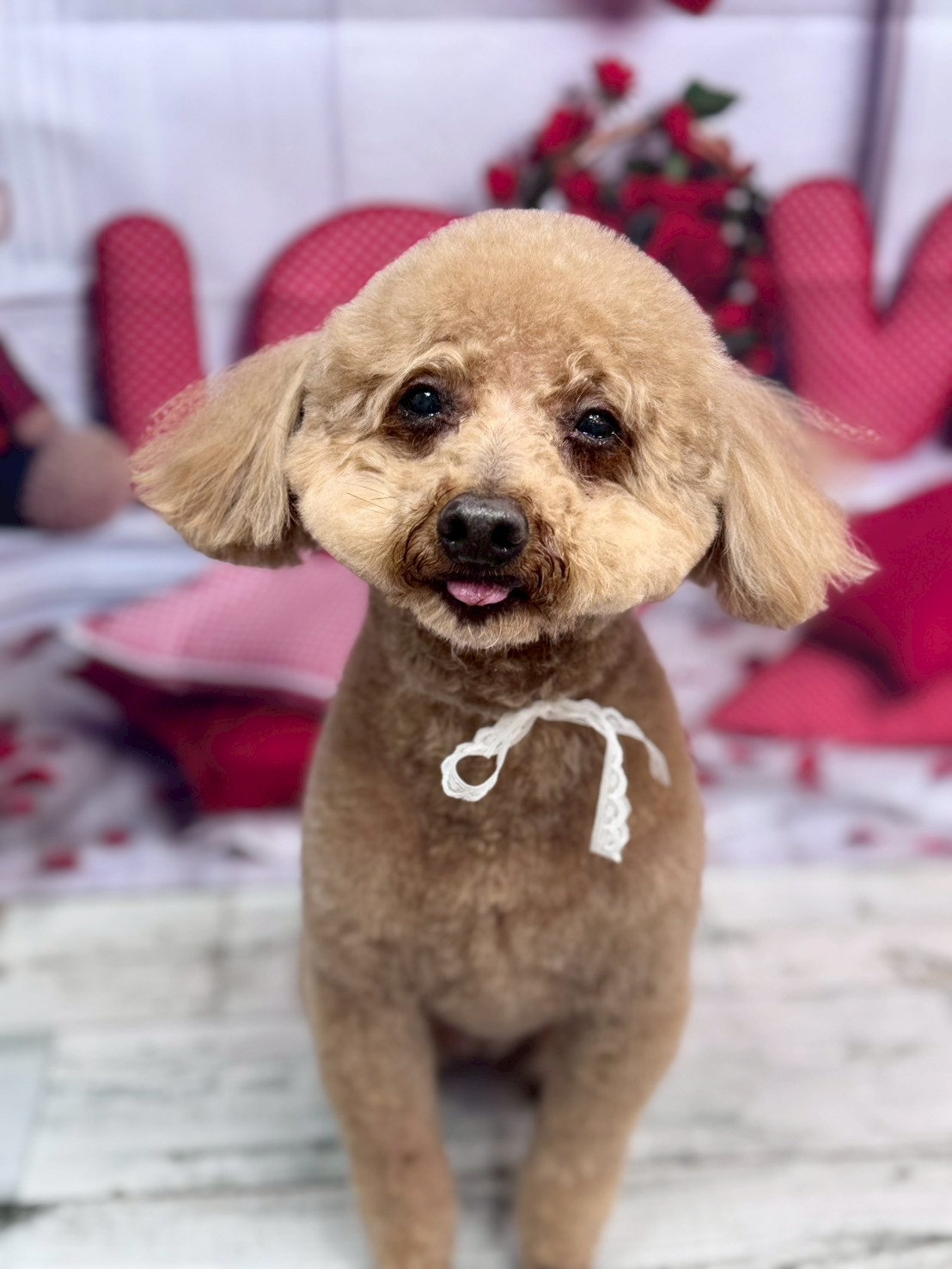 �O���[�~���O�T���� �I���[�W��