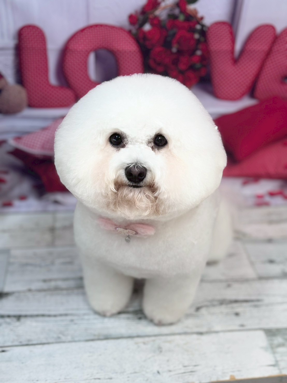 �O���[�~���O�T���� �I���[�W��