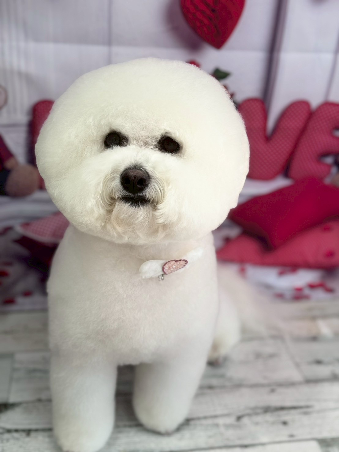 �O���[�~���O�T���� �I���[�W��