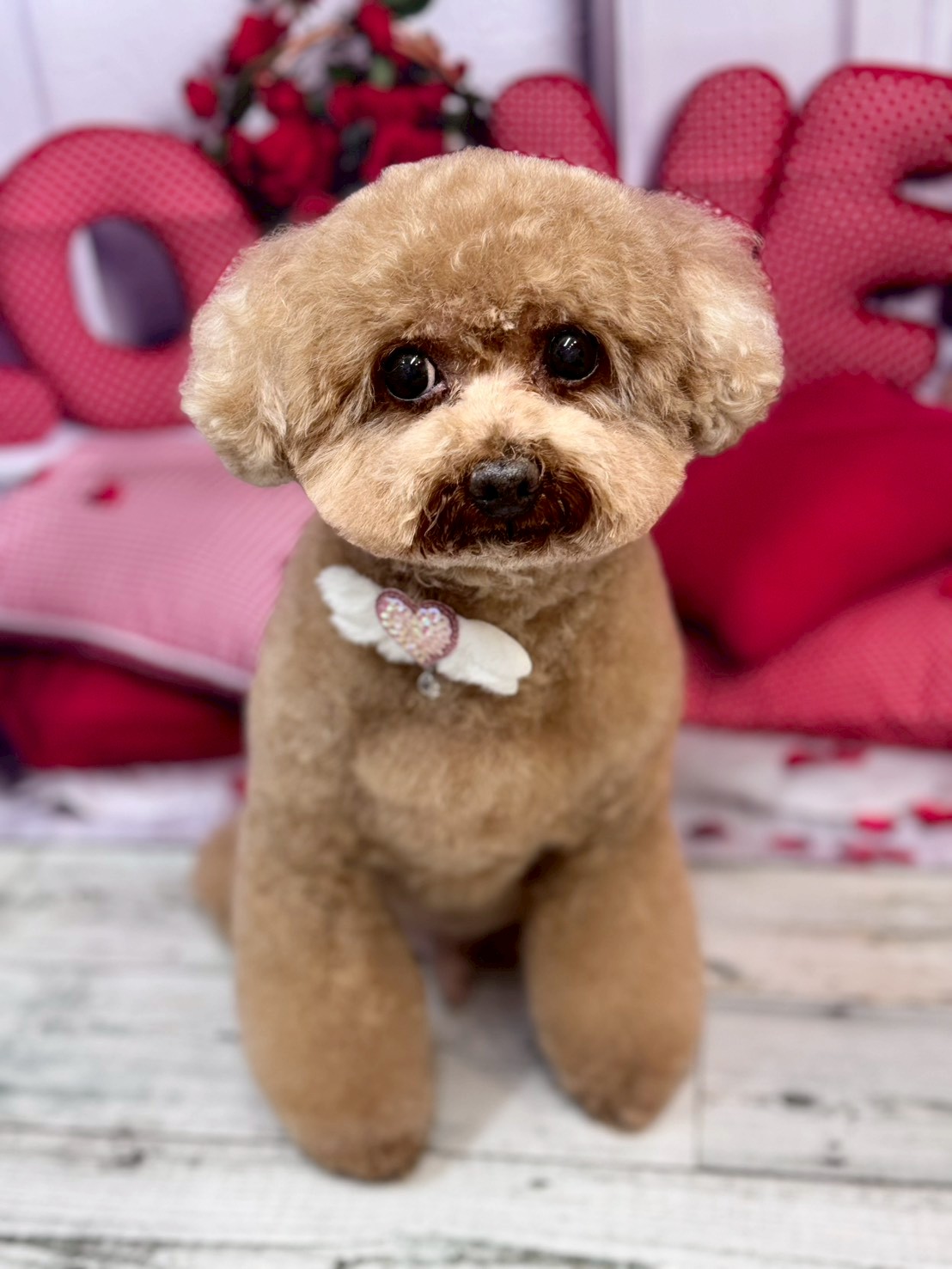 �O���[�~���O�T���� �I���[�W��