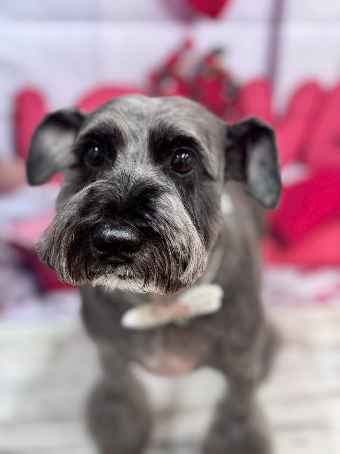 �O���[�~���O�T���� �I���[�W��