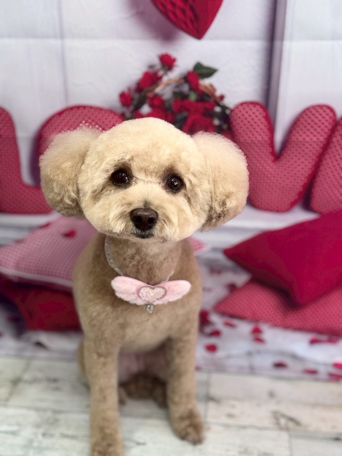 �O���[�~���O�T���� �I���[�W��