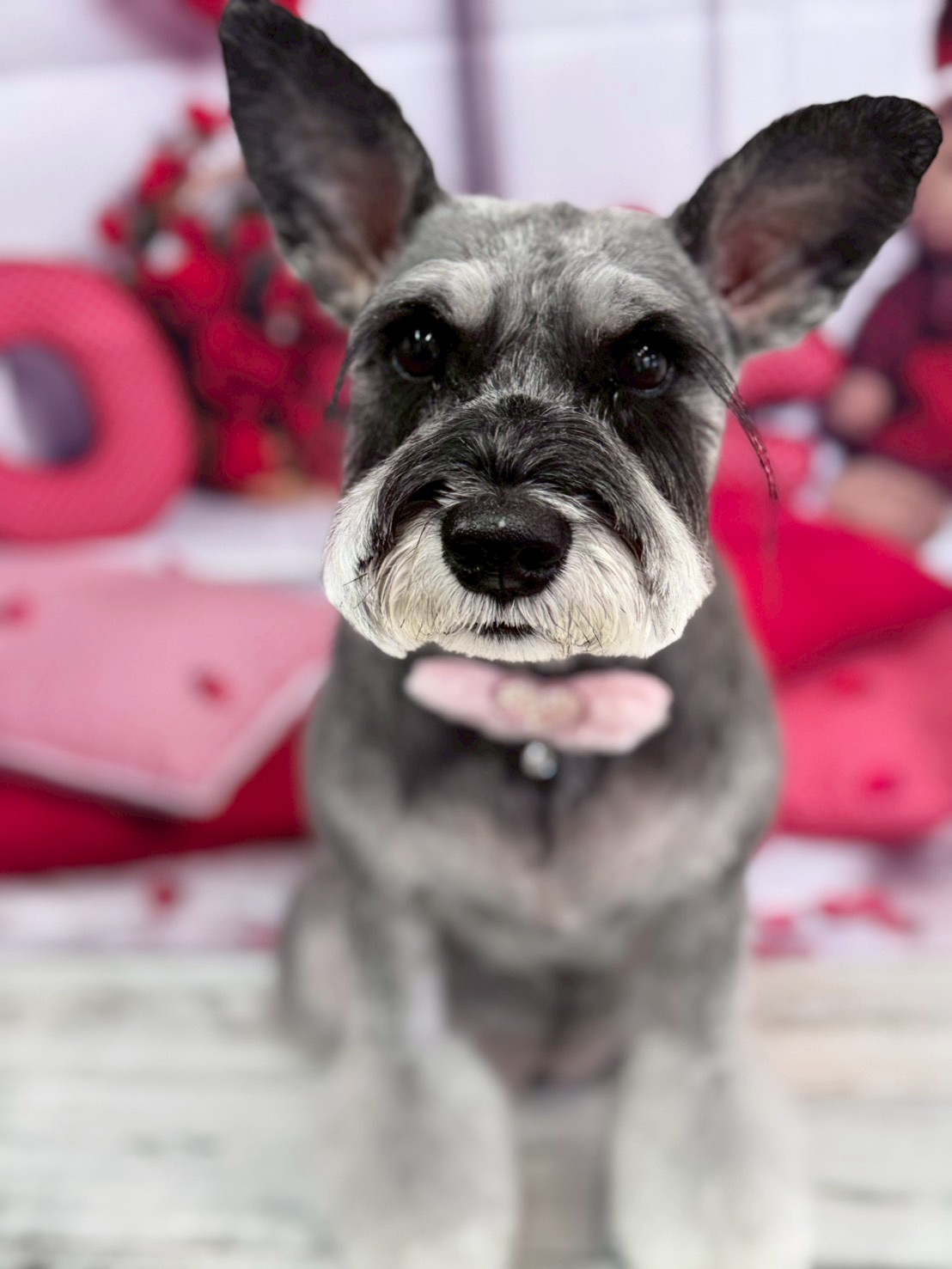 �O���[�~���O�T���� �I���[�W��