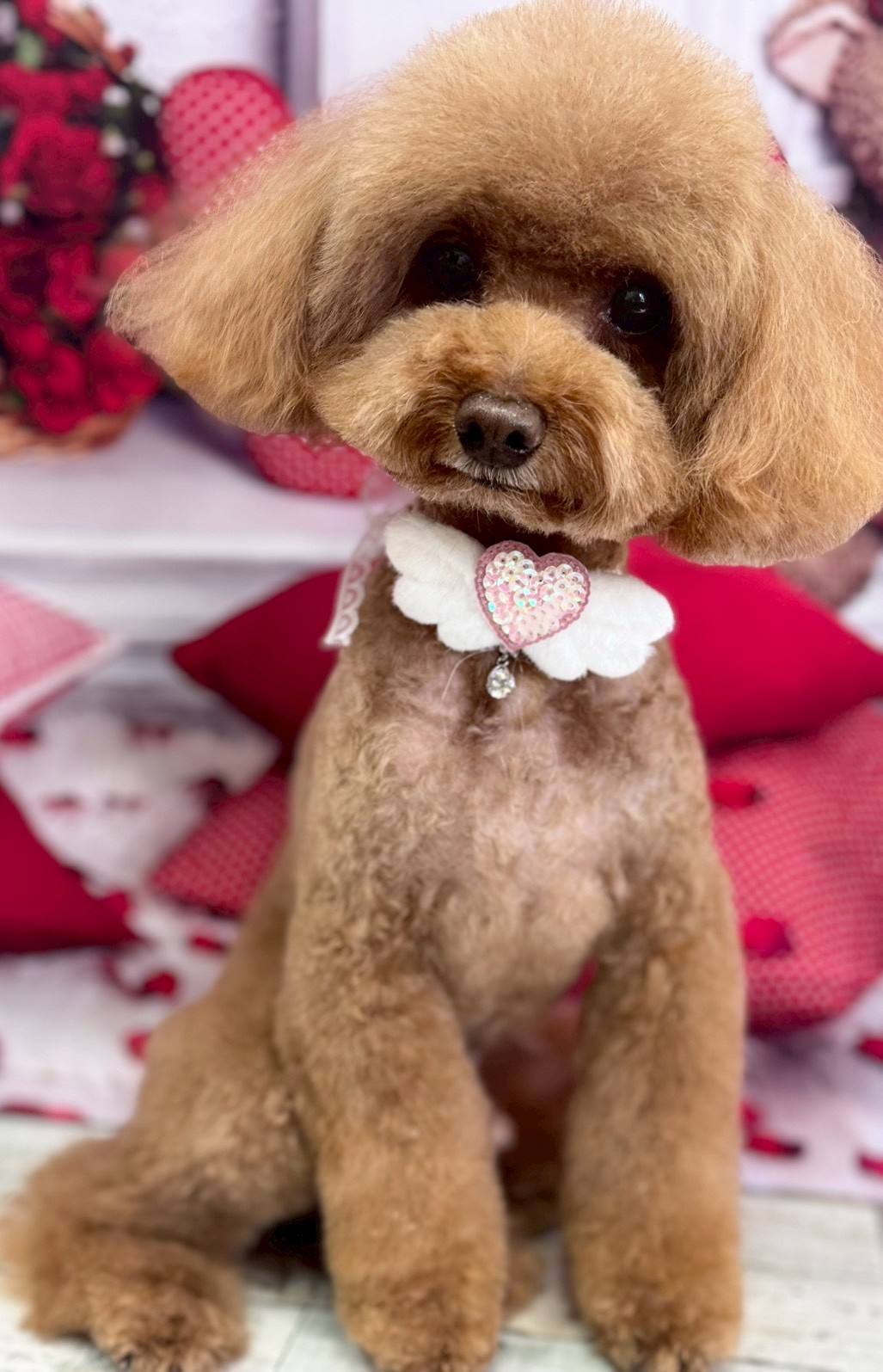 �O���[�~���O�T���� �I���[�W��