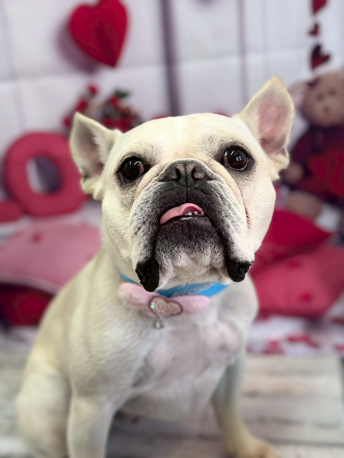 �O���[�~���O�T���� �I���[�W��