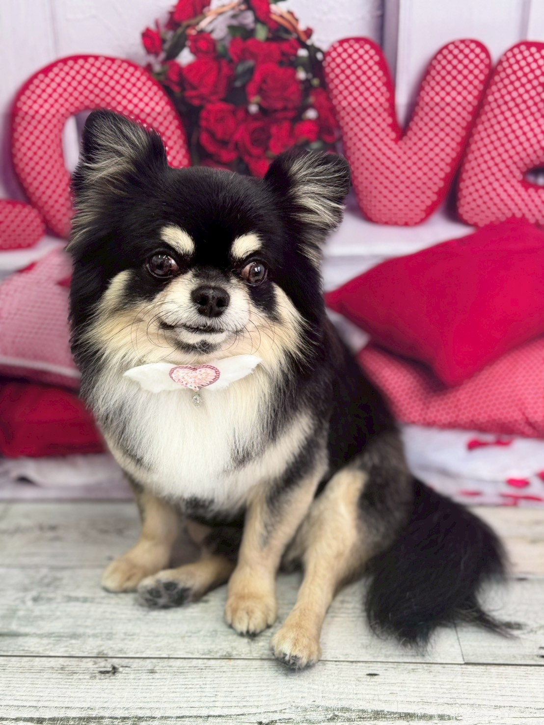 �O���[�~���O�T���� �I���[�W��