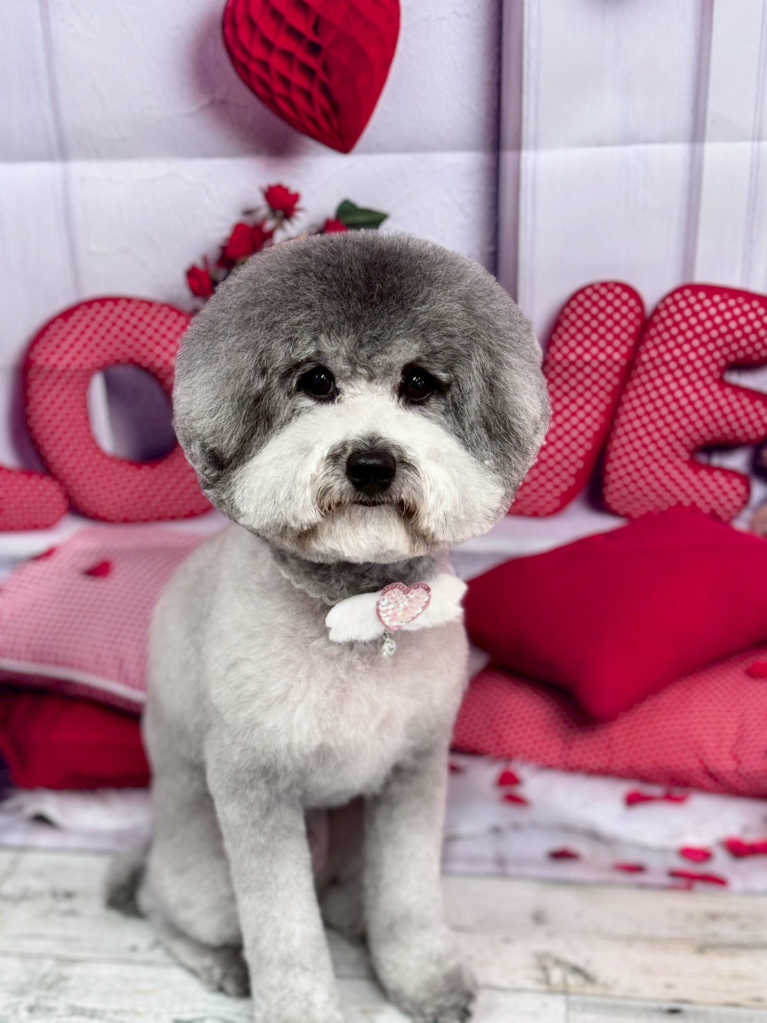 �O���[�~���O�T���� �I���[�W��